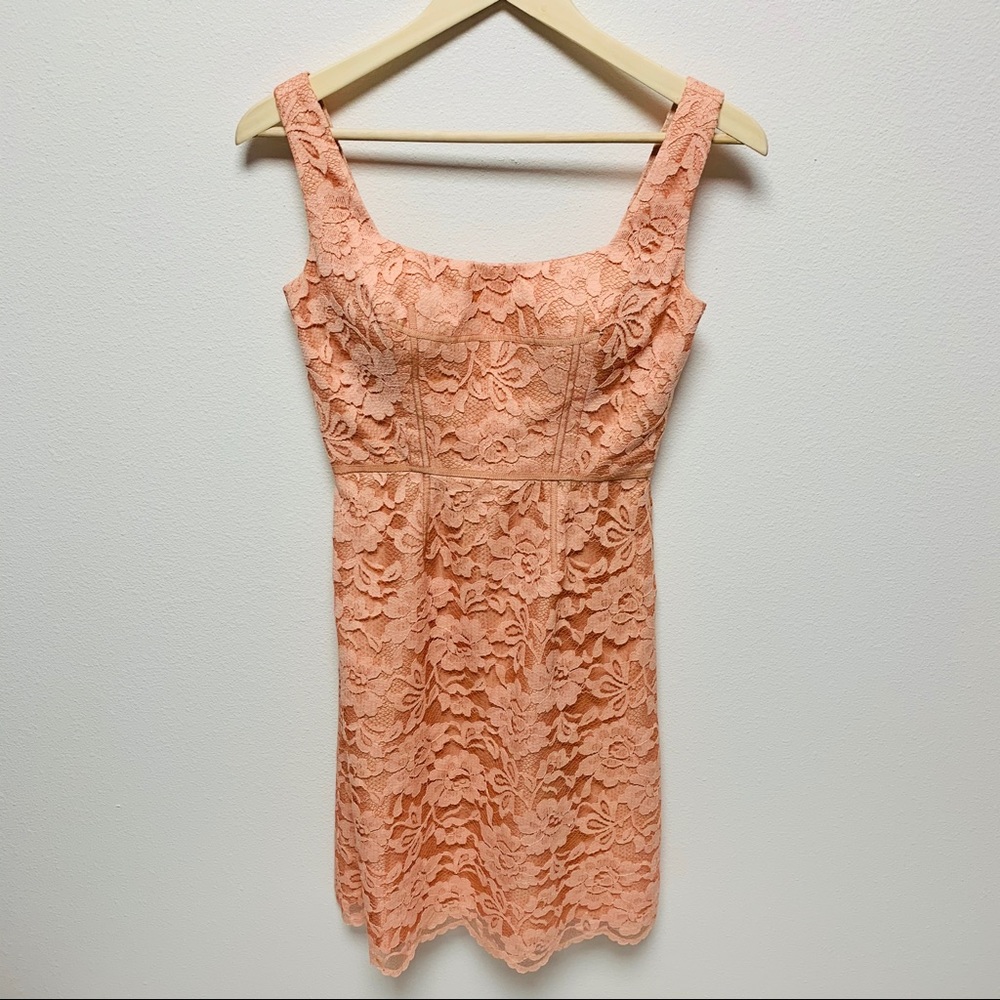 Jill Stuart Blush Lace Sheath Dress 2